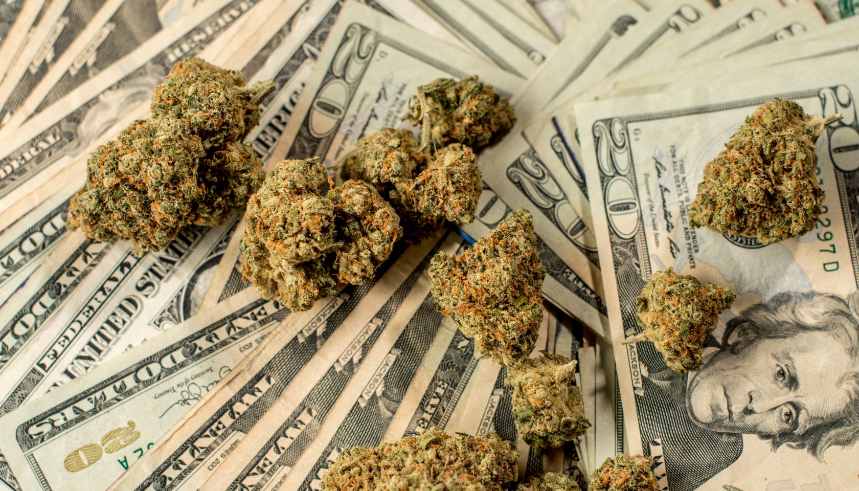 Lots of marijuana on stacks of $20